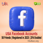 USA Facebook Accounts | 50 Friends | Registered in 2025 | Email & SMS Verified | 2FA Enabled