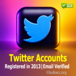 Twitter Accounts | Registered in 2013 | Email Verified | Token Included 