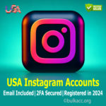 USA Instagram Accounts | Email Included | 2FA Secured | Registered in 2024