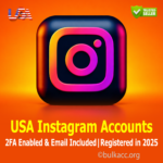 USA Instagram Accounts | 2FA Enabled & Email Included | Registered in 2025