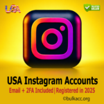USA Instagram Accounts | Email + 2FA Included | Profile Picture + 3 Posts | Registered in 2025