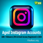 Aged Instagram Accounts | 100+ Followers | 2FA & Email Access | Registered in 2025