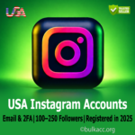 USA Instagram Accounts | Email & 2FA Included | 100–250 Followers | Registered in 2025
