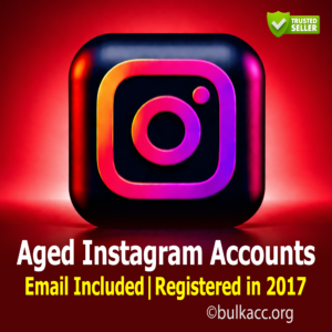Aged Instagram Accounts | Email Included | Registered in 2017