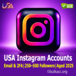 USA Instagram Accounts | Email & 2FA Included | 250–500 Followers | Aged 2025