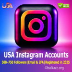 USA Instagram Accounts | 500–750 Followers | Email & 2FA Included | Registered in 2025