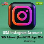 USA Instagram Accounts | 10K+ Followers | Email & 2FA Secured | Aged 2024