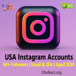 USA Instagram Accounts | 5K+ Followers | Email & 2FA | Aged 2024